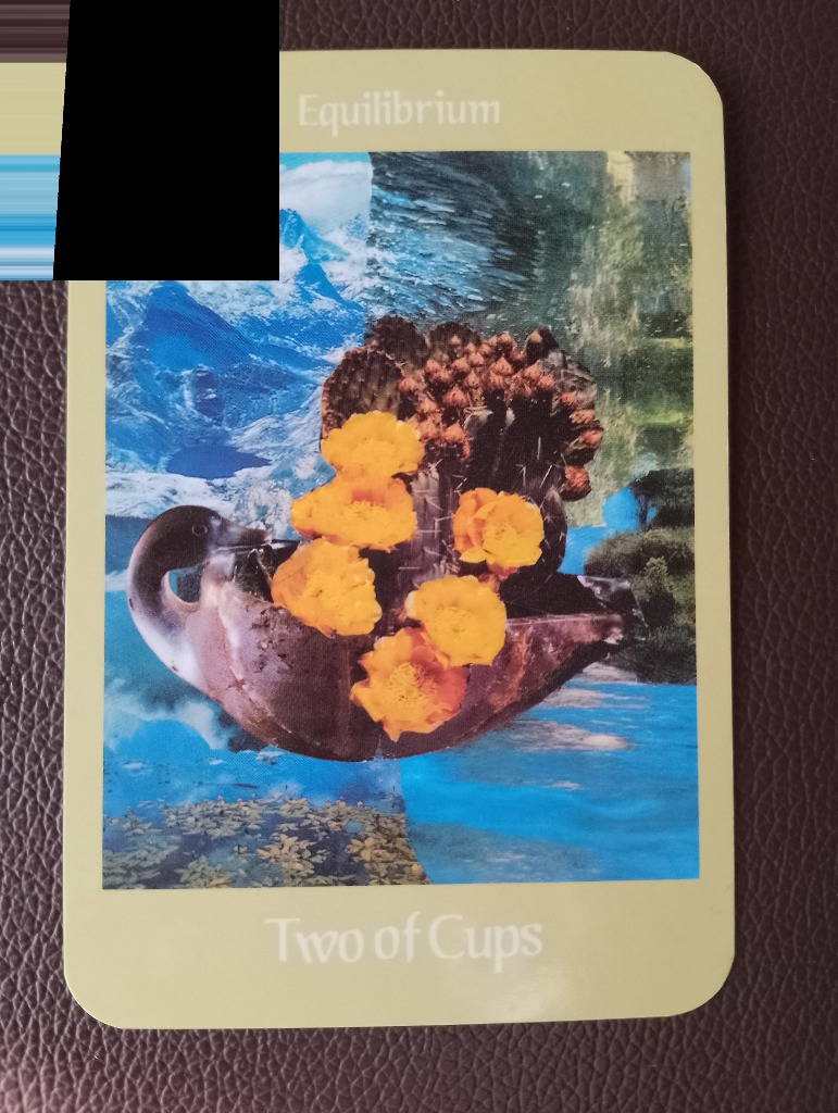 寄り添うボイジャータロットカード